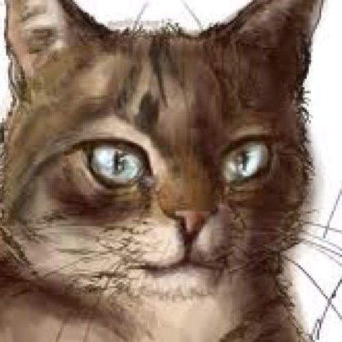 thunderstormTC's profile picture. I'm Thunderstorm from ThunderClan! I'm in luv with Angelheart i can't stop thinking about her!!!
