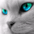 SeatSn's profile image