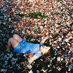 sofia (@sofiability) Twitter profile photo