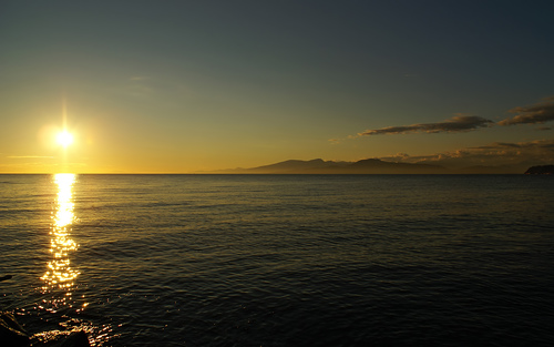 XandeFatima's profile picture. 