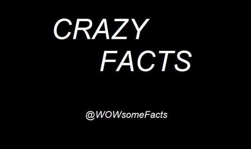 A dose of crazy facts just for you
