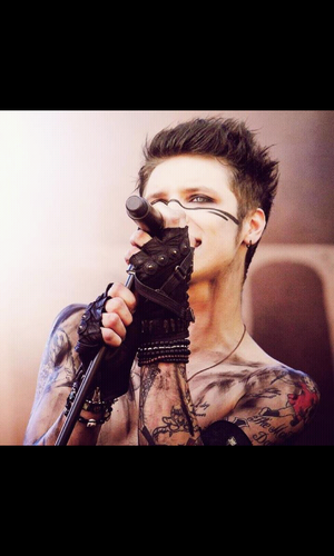 BvB_Fangirl15's profile picture. female. 16. Massive bvb fan :)). drinks. parties, youll always find me there fucking shit up like a bad bitch. awkiies lol