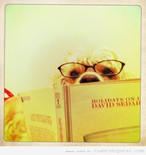 SoyIntrovertido's profile picture. 