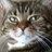 SkeerdyMcCat's profile image
