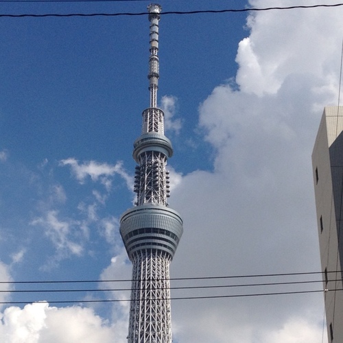 ht1980's profile picture. 