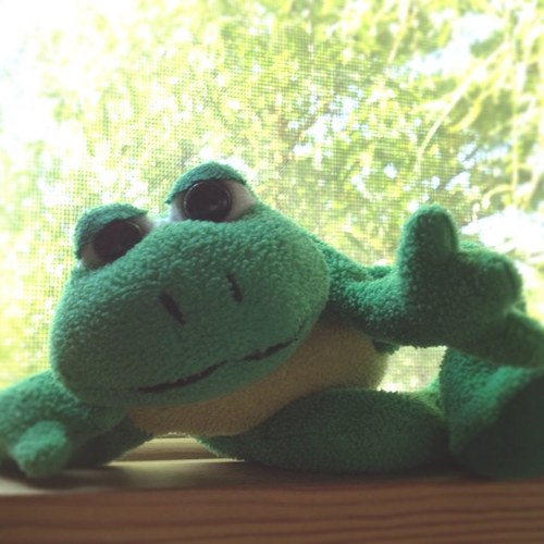 CroakingFlogs's profile picture. のほほんと自由気ままなカエルですねん。