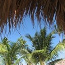 Joanne Whitney - @JoanneWhitney13 - Twitter