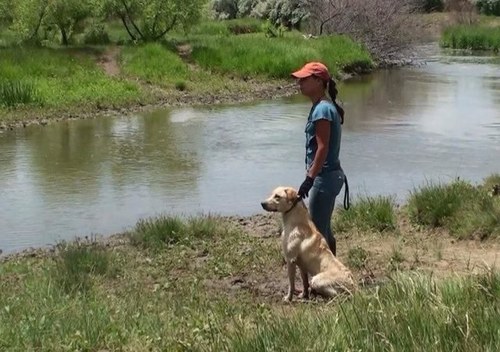 heartequine's profile picture. 