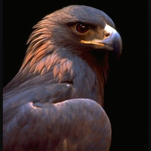 jonboy555555's profile picture. 