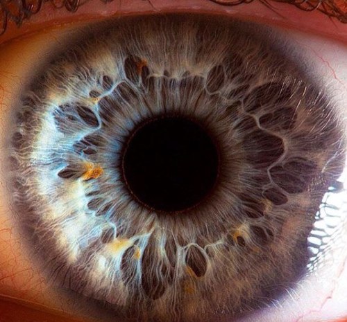 Arjun_baidwan's profile picture. 