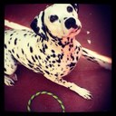 Elisa Jimenez - @Gomitajimenez - Twitter