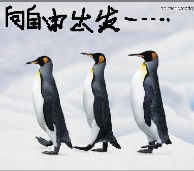 wlxwlx's profile picture. 街头运动是中国公民走向自由之路的康庄大道！