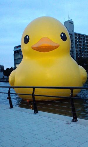 よろー(笑)