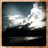 darcisue's profile image