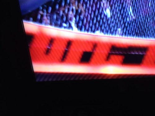 papillion4me's profile picture. Human!