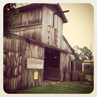 ChasityGoodner's profile picture. 