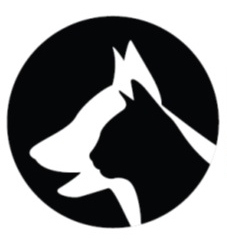 WelfareSA's profile picture. Pet Welfare SA is an NPC that works to collect funds, sponsors and increase adoptions for all private welfare members.
