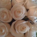 carol nicholson - @carolnicholson9 - Twitter