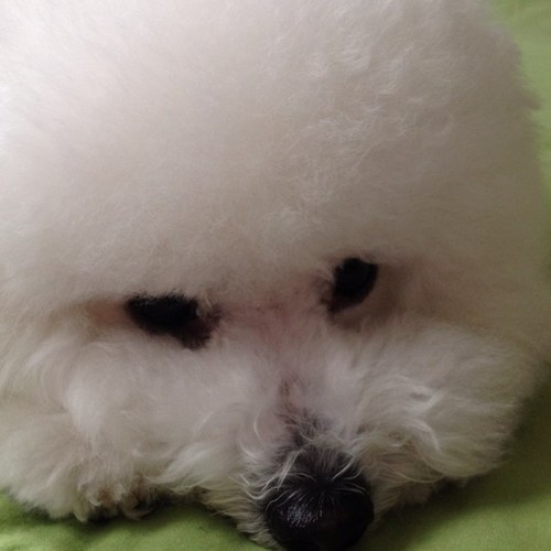 momoreon0903's profile picture. 