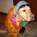 Mike Chapin - @dabillsr1 - Twitter