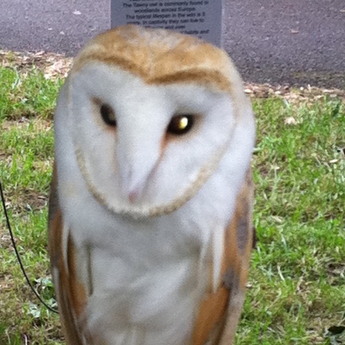 LeedsTaxis's profile picture. 