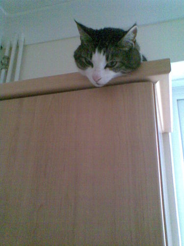 DarryllLutter's profile picture. Mother to an amazing son, beautiful daughter, fabulous granddaughters. A nurse all my adult life and still at it. An avid reader of crime novels. Views my own.