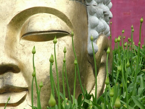 G_Badmammal's profile picture. I love deadlines. I like the whooshing sound they make as they fly by.