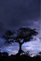 Argazkigintza eta musika
Fotografía y música
Photo & Music
http://t.co/Yg1CkOlim8