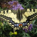 harry mulder - @MulderHarry - Twitter