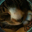 paul shakespeare - @plshakespeare - Twitter