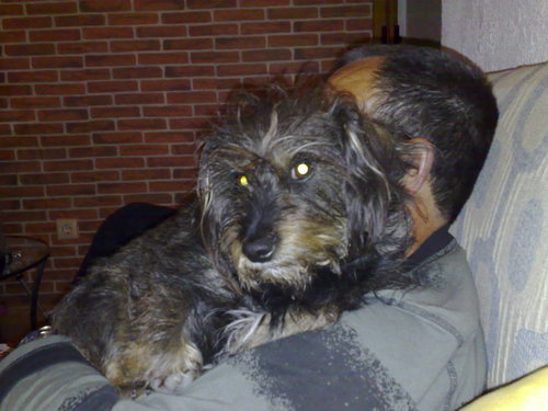 yayabombera's profile picture. 