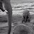 raba_nu's profile image