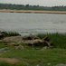 Vijay Shaw (@vijayshaw2) Twitter profile photo Vijay Shaw (@vijayshaw2) Twitter profile photo