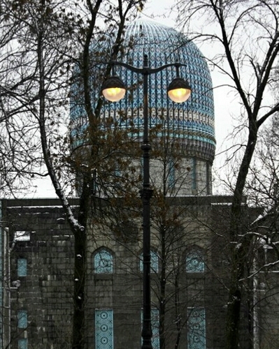 kirills5's profile picture. 