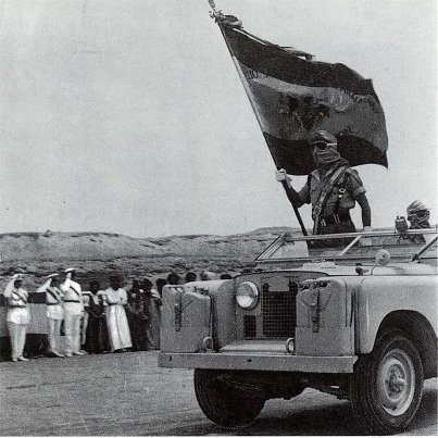 CORONEL DE CABALLERIA