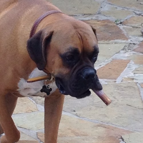 PG76116's profile picture. Republican, gun collector, marksman and believer in the Constitution.