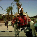 bruno commodari - @babybru1 - Twitter