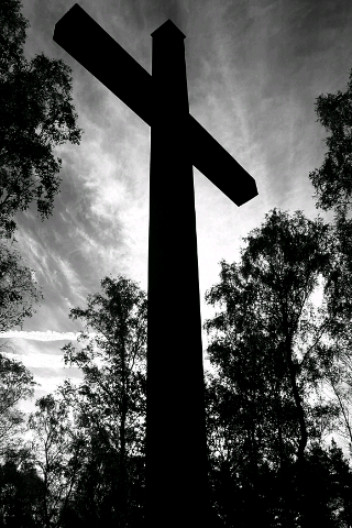 yurikosutanto's profile picture. 