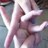 XC_RunnerLife's profile image