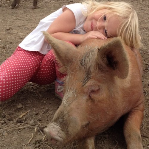 michelebaldock's profile picture. 