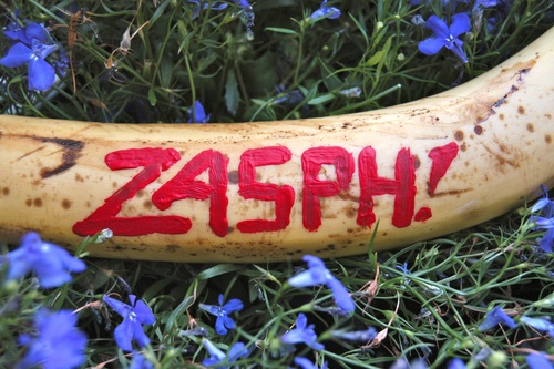 ZASPH! - Arts, Farts & Rock'n'Roll