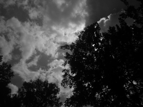 ilfol13's profile picture. 