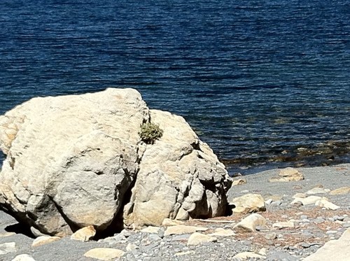 women1960's profile picture. magistrat plus du tout détachée