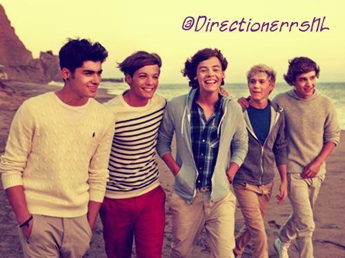 hi, we're @its_L0LA & @Roos_Draper from The Netherlands, supporting our boys through whatever :) ❤ imagines in fav's :) follow back if you ask! xx