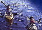 Issaquah Paddle Sports offers hourly and daily rentals of kayaks, stand up paddle boards, canoes, and pedal boats at Lake Sammamish State Park.