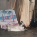 mitch barnes - @mitchbarnes - Twitter