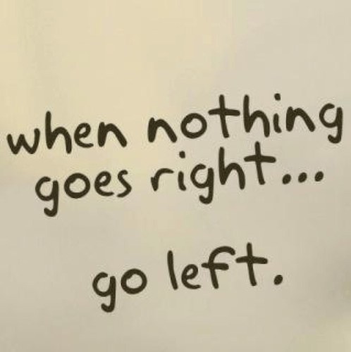 chloefeisel1234's profile picture. 