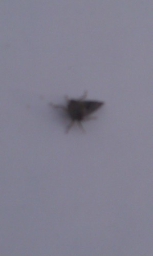 dannyBWi's profile picture. 