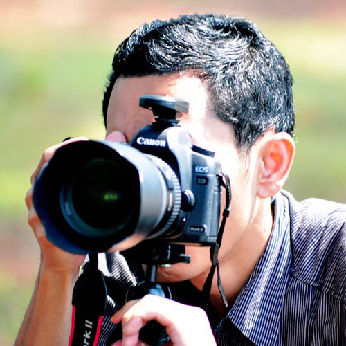 Freelance Photographer