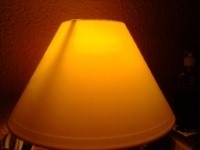 D_Traca's profile picture. Con esta luz tenue me sobra para ver las cosas que quiero ver y a la gente que quiero.